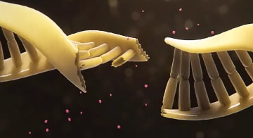 Targeted Alpha Therapy uses alpha particles to cause cell death via double-strand DNA breaks 